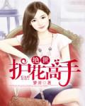 绝世护花高手
