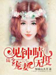 一见钟晴:陆少，宠妻无度