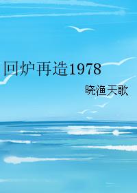 回炉再造1978
