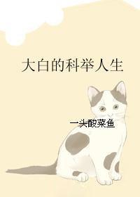 大白的科举人生