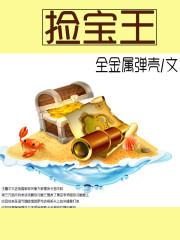 捡宝王