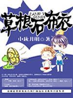 草根石布衣