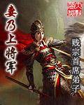 妻乃上将军