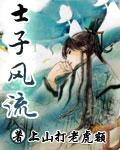 士子风流