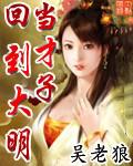 回到大明当才子