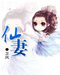 仙妻