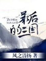最后的三国