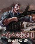 一个人的抗日Ⅱ