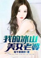 我的冰山美女老婆