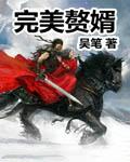 完美赘婿