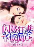 闪婚狂妻低调点
