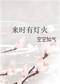 来时有灯火