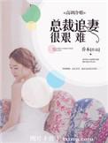 高调冷婚，总裁追妻很艰难