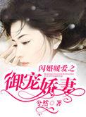 闪婚暖爱之御宠娇妻