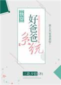 好爸爸系统