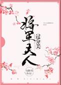 将军夫人过分美