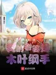 [火影]我的老婆是木叶纲手