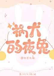 祸犬的夜兔[综漫]