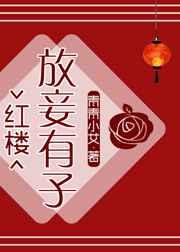 放妾有子[红楼]