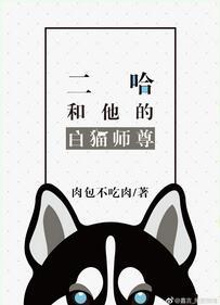 二哈和他的白猫师尊